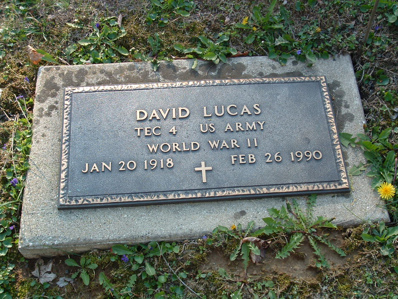 Lucas Cemetery Photos